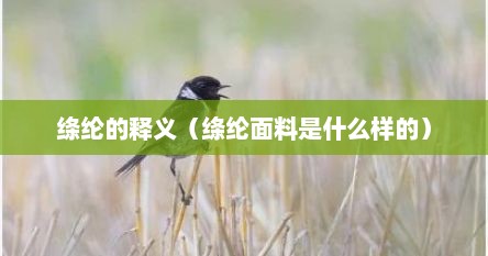 绦纶的释义（绦纶面料是什么样的）