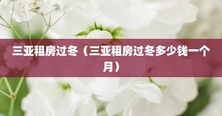 三亚租房过冬（三亚租房过冬多少钱一个月）