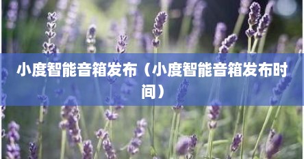 小度智能音箱发布（小度智能音箱发布时间）