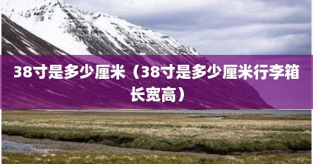 38寸是多少厘米（38寸是多少厘米行李箱长宽高）