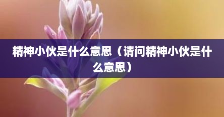 精神小伙是什么意思（请问精神小伙是什么意思）