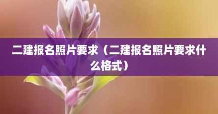 二建报名照片要求（二建报名照片要求什么格式）