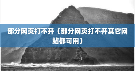 部分网页打不开（部分网页打不开其它网站都可用）