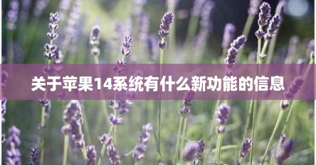 关于苹果14系统有什么新功能的信息