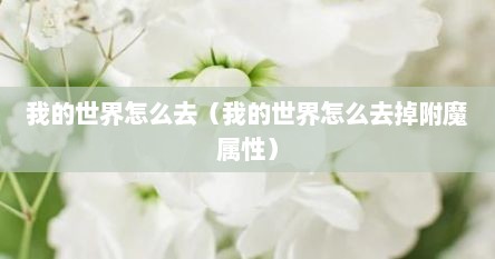 我的世界怎么去（我的世界怎么去掉附魔属性）