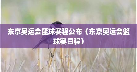 东京奥运会篮球赛程公布（东京奥运会篮球赛日程）