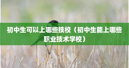 初中生可以上哪些技校（初中生能上哪些职业技术学校）