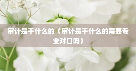 审计是干什么的（审计是干什么的需要专业对口吗）