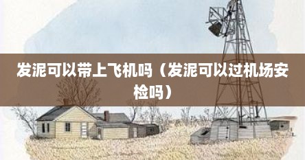 发泥可以带上飞机吗（发泥可以过机场安检吗）