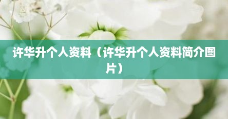 许华升个人资料（许华升个人资料简介图片）