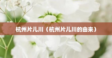 杭州片儿川（杭州片儿川的由来）