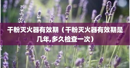 干粉灭火器有效期（干粉灭火器有效期是几年,多久检查一次）