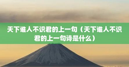 天下谁人不识君的上一句（天下谁人不识君的上一句诗是什么）