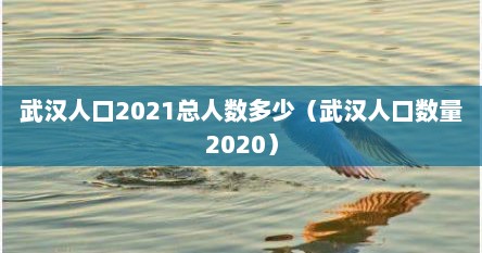 武汉人口2021总人数多少（武汉人口数量2020）