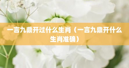 一言九鼎开过什么生肖（一言九鼎开什么生肖准确）