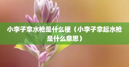 小李子拿水枪是什么梗（小李子拿起水枪是什么意思）