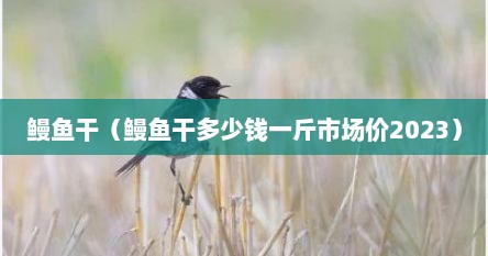 鳗鱼干（鳗鱼干多少钱一斤市场价2023）