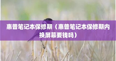 惠普笔记本保修期（惠普笔记本保修期内换屏幕要钱吗）