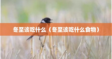 冬至该吃什么（冬至该吃什么食物）