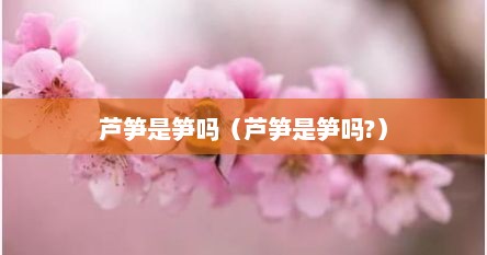 芦笋是笋吗（芦笋是笋吗?）