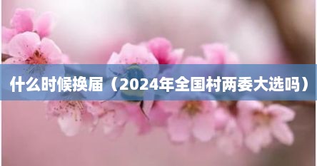 什么时候换届（2024年全国村两委大选吗）