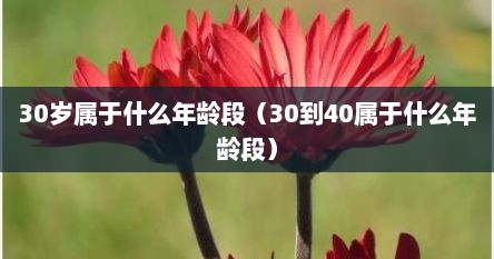 30岁属于什么年龄段（30到40属于什么年龄段）