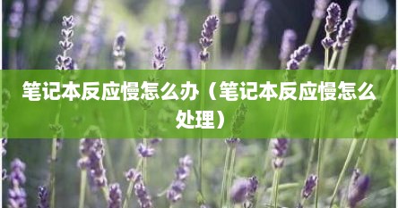 笔记本反应慢怎么办（笔记本反应慢怎么处理）