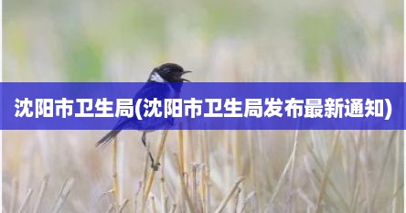 沈阳市卫生局(沈阳市卫生局发布最新通知)