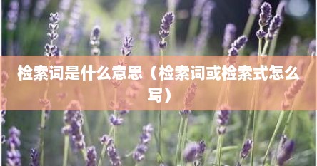 检索词是什么意思（检索词或检索式怎么写）