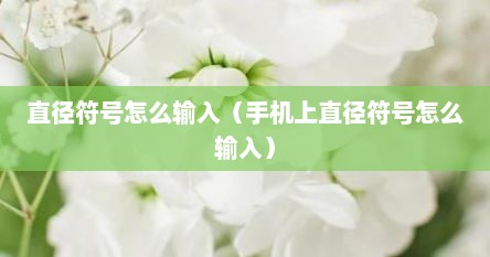 直径符号怎么输入（手机上直径符号怎么输入）