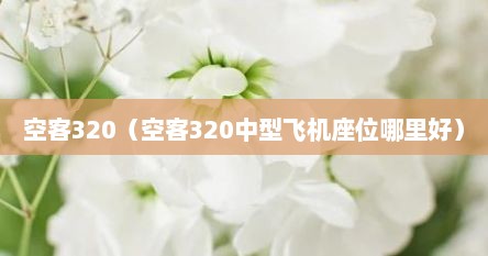 空客320（空客320中型飞机座位哪里好）