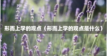 形而上学的观点（形而上学的观点是什么）