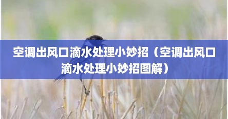 空调出风口滴水处理小妙招（空调出风口滴水处理小妙招图解）