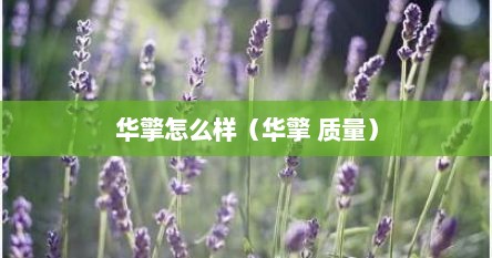 华擎怎么样（华擎 质量）