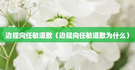 边程向任敏道歉（边程向任敏道歉为什么）