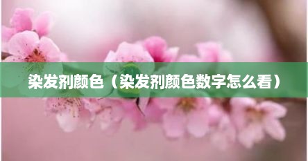 染发剂颜色（染发剂颜色数字怎么看）