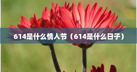 614是什么情人节（614是什么日子）