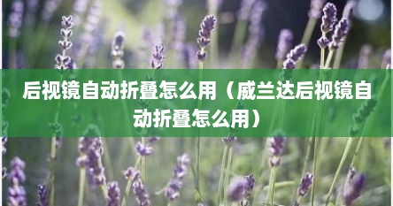 后视镜自动折叠怎么用（威兰达后视镜自动折叠怎么用）