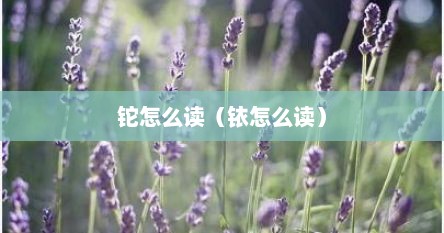 铊怎么读（铱怎么读）