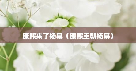 康熙来了杨幂（康熙王朝杨幂）