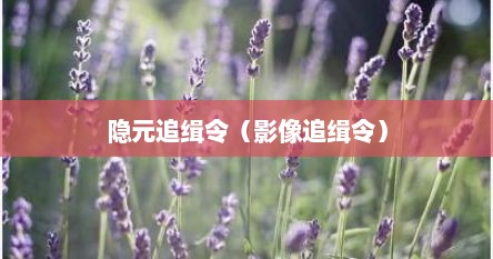 隐元追缉令（影像追缉令）