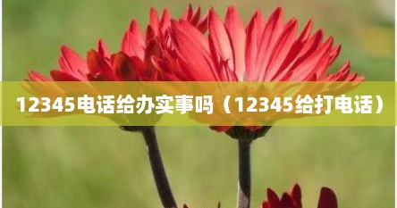 12345电话给办实事吗（12345给打电话）