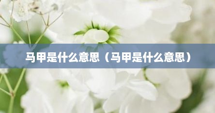 马甲是什么意思（马甲是什么意思）