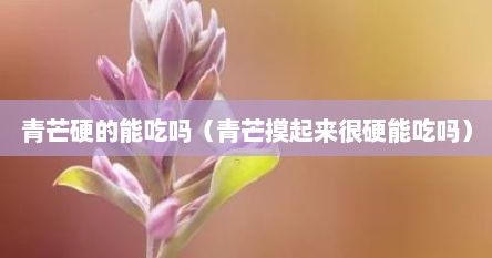 青芒硬的能吃吗（青芒摸起来很硬能吃吗）