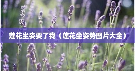 莲花坐姿要了我（莲花坐姿势图片大全）