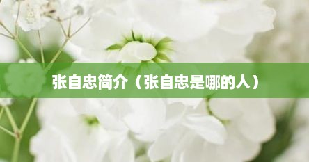 张自忠简介（张自忠是哪的人）