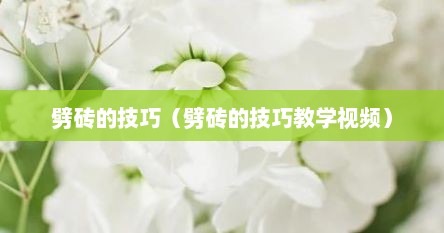 劈砖的技巧（劈砖的技巧教学视频）