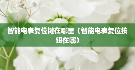 智能电表复位键在哪里（智能电表复位按钮在哪）