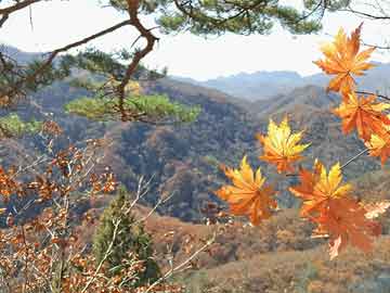 温度计原理（彩球温度计原理）