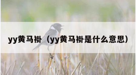 yy黄马褂（yy黄马褂是什么意思）